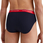 Tommy Hilfiger Spodní prádlo 3P Brief M 1U87903766 S