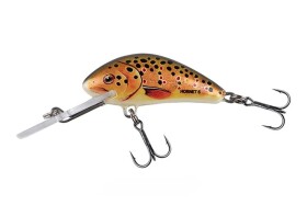 Salmo Wobler Hornet Sinking Trout - 4cm 4,3g,Salmo Wobler Hornet Sinking Trout - 4cm 4,3g