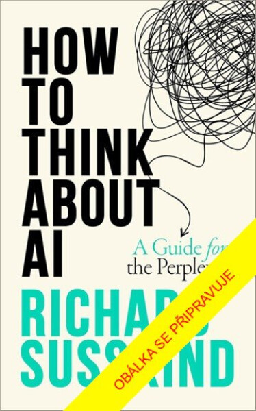 Jak přemýšlet o umělé inteligenci - Richard Susskind