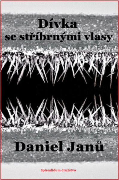 Dívka se stříbrnými vlasy - Daniel Janů - e-kniha