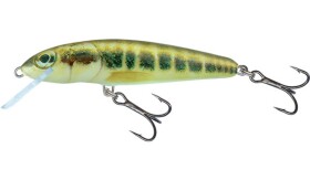 Salmo Wobler Minnow Floating 7cm - Minnow,Salmo Wobler Minnow Floating 7cm - Minnow