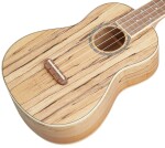 Fender Zuma Exotic Concert Ukulele WN SM