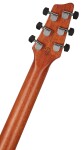 Godin xtSA Light Burst Flame