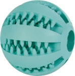 TRIXIE 3289 DENTAfun míč s mátou 7cm (4011905032894)