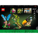 LEGO LEGO® Ideas 21342 Sbírka hmyzu