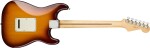 Fender Player Stratocaster Plus Top