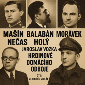 Hrdinové domácího odboje - Jaroslav Vozka - audiokniha