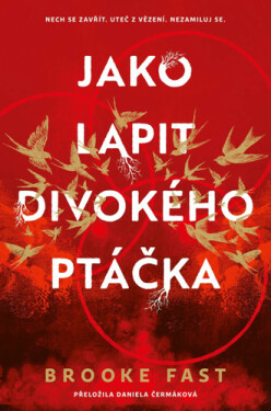 Jako lapit divokého ptáčka - Brooke Fast
