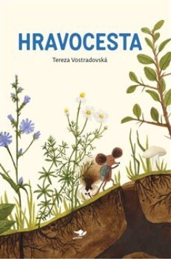 Hravocesta