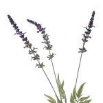 Bloomingville Umělá květina Lavender Purple 65 cm, fialová barva, plast