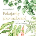 Pokojovky jako malované
