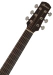 Ibanez AAD50 Transparent Charcoal Burst