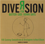 Diversion Gabrielle Mander