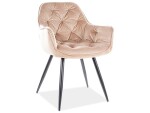 BRADOP Designové jídelní křesílko DINA - Z207 BRA-DINA-KRESILKO