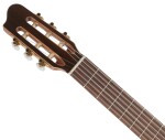 Godin Concert Left