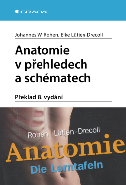 Anatomie v přehledech a schématech - Elke Lütjen-Drecoll, Johannes W. Rohen