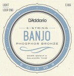 D'Addario EJ69