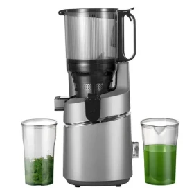 AMZCHEF SJ-036-GA šedá / Pomalý odšťavňovač / 250 W / 1,8 l / 3 filtry (SJ-036-GA)