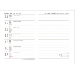 Týdenní diář 2026 Karton P+P A6 - PASTELINI zelená