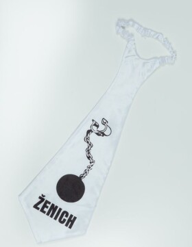 Divja.cz Kravata ženich