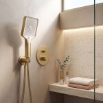 REA - Sprchová hlavice JS-031 BRUSH GOLD REA-03905