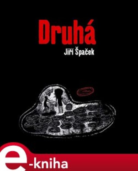 Druhá - Jiří Špaček e-kniha