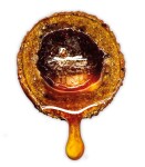 LK Baits Nutrigo Extra Plankton - 30mm 400ml,LK Baits Nutrigo Extra Plankton - 30mm 400ml