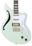 D'Angelico Excel Giacomo Turra Bedford SH