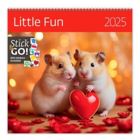 Kalendář nástěnný 2025 Little Fun