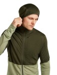 ICEBREAKER Mens Mer 200 Realfleece Descender LS Zip H, Dark Loden/Lichen/Cb velikost: L