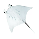 Safari Ltd. Safari Ltd. Figurka - Manta