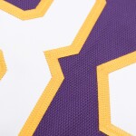 Mitchell & Ness Pánský dres Los Angeles Lakers NBA Shaquille O'Neal #34 2001-02 Authentic - Fialová Velikost: L
