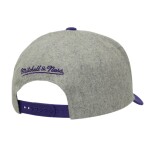 Mitchell & Ness Pánská kšiltovka Los Angeles Lakers NBA Tailsweeps Pro Snapback
