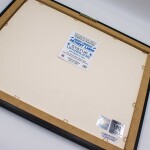 Obraz Detroit Lions NFL Barry Sanders Statue Unveiling Silver Coin
