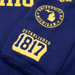 Fanatics Pánská mikina Michigan Wolverines NCAA Colorblock Badge Hoodie Velikost: S