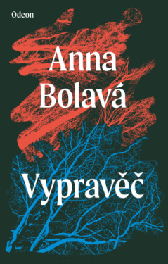 Vypravěč - Anna Bolavá - e-kniha