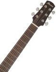 Ibanez AAD170CES Natural