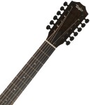 Taylor 250ce-BLK Plus