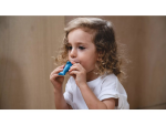 PlanToys PlanToys Píšťalka - delfín