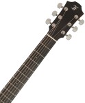 Furch Green Dc-SR Master's Choice CNR Active