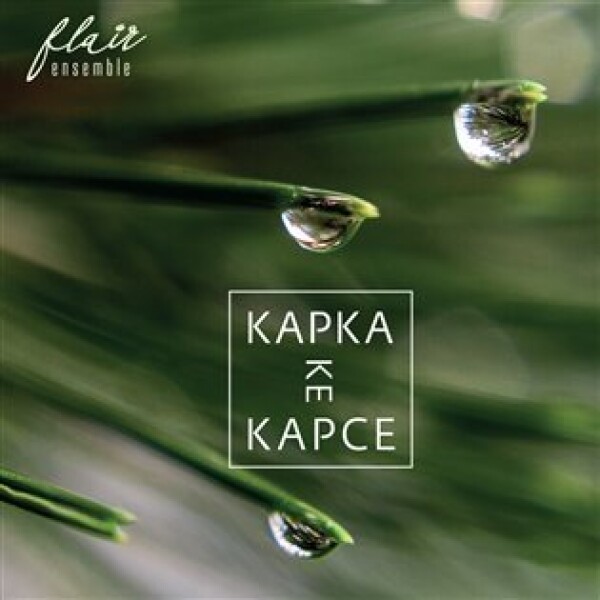 Kapka ke kapce - CD - Jan Rokyta