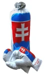 RULYT Dětská boxovací sada SK / Boxovací sada / pytel 35x14 cm / rukavice 8oz / od 4 let