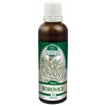 Naděje Tinktura z pupenů Borovice sosna 50ml