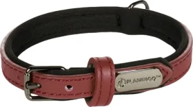 Flamingo Binti Kožený obojek s neoprenem červená XS (FLA-519236)