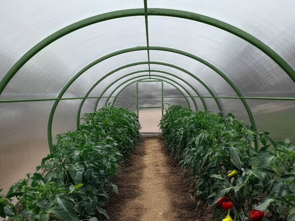 Obloukový polykarbonátový skleník Dodo 300 3×4 m PC 6 mm zelený