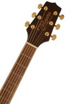 Takamine GD51-NAT