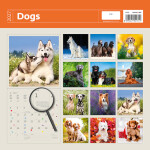 Nástěnný kalendář 2027 Helma Dogs
