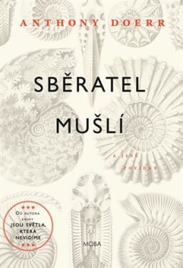 Sběratel mušlí