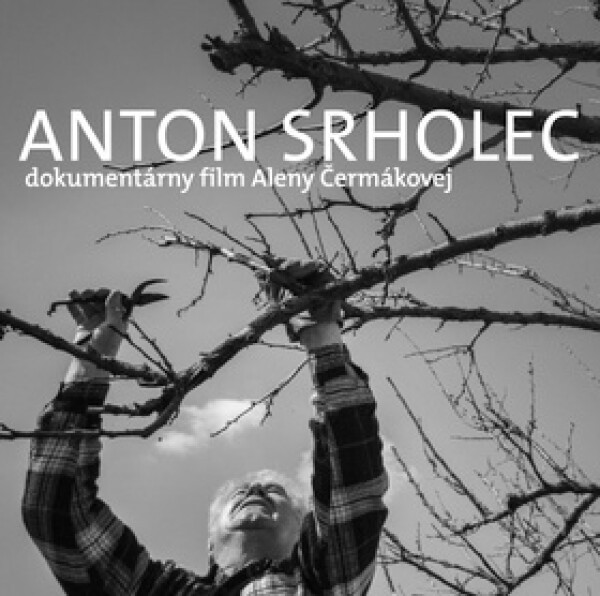 Anton Srholec Cesta, po ktorej som išiel Anton Srholec