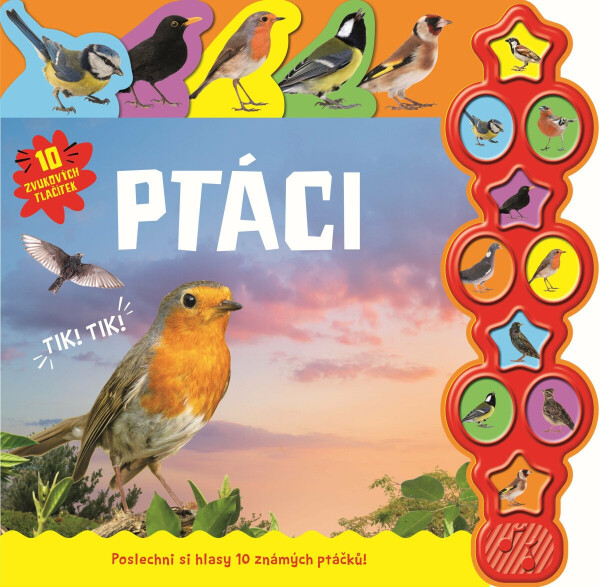 Ptáci - 10 zvukových tlačítek